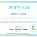 Powiększ obraz: certificate 11