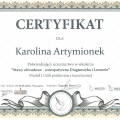 Powiększ obraz: certificate 19