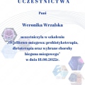 Powiększ obraz: certificate 8