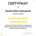 Powiększ obraz: certificate 7