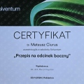Powiększ obraz: certificate 13