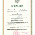 Powiększ obraz: certificate 3