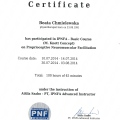 Powiększ obraz: certificate 1