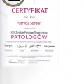 Powiększ obraz: certificate 8