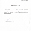 Powiększ obraz: certificate 2