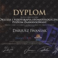 Powiększ obraz: certificate 7