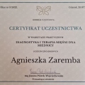 Powiększ obraz: certificate 16
