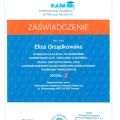 Powiększ obraz: certificate 7