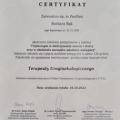 Powiększ obraz: certificate 13