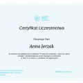 Powiększ obraz: certificate 7