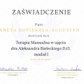 Powiększ obraz: certificate 2