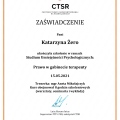 Powiększ obraz: certificate 13