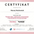 Powiększ obraz: certificate 5