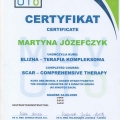 Powiększ obraz: certificate 13
