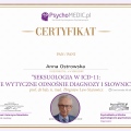Powiększ obraz: certificate 13