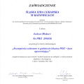 Powiększ obraz: certificate 78