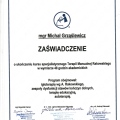 Powiększ obraz: certificate 4