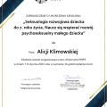 Powiększ obraz: certificate 2