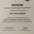 Powiększ obraz: certificate 2