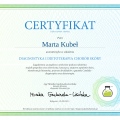 Powiększ obraz: certificate 1