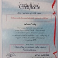 Powiększ obraz: certificate 14