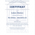 Powiększ obraz: certificate 301
