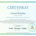 Powiększ obraz: certificate 16