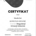 Powiększ obraz: certificate 9