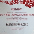 Powiększ obraz: certificate 4
