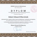 Powiększ obraz: certificate 1