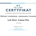 Powiększ obraz: certificate 26