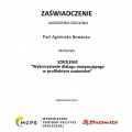 Powiększ obraz: certificate 8