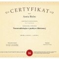 Powiększ obraz: certificate 29