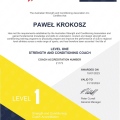 Powiększ obraz: certificate 3