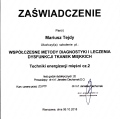 Powiększ obraz: certificate 7