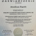 Powiększ obraz: certificate 28