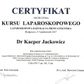 Powiększ obraz: certificate 8
