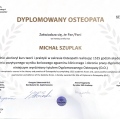 Powiększ obraz: certificate 13