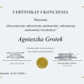 Powiększ obraz: certificate 2
