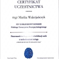 Powiększ obraz: certificate 3