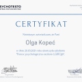 Powiększ obraz: certificate 2