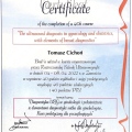 Powiększ obraz: certificate 8