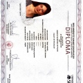 Powiększ obraz: certificate 2