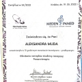 Powiększ obraz: certificate 11