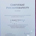 Powiększ obraz: certificate 1
