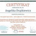 Powiększ obraz: certificate 4