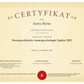 Powiększ obraz: certificate 26