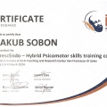 Powiększ obraz: certificate 3