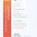 Powiększ obraz: certificate 1