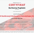 Powiększ obraz: certificate 16